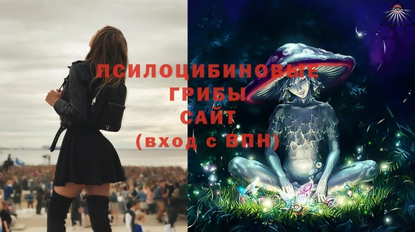 бошки Володарск
