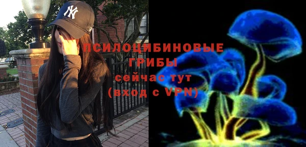 тгк Волосово
