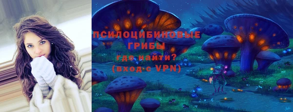 бошки Володарск