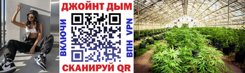 мега ONION  Новосибирск  Шишки марихуана OG Kush 